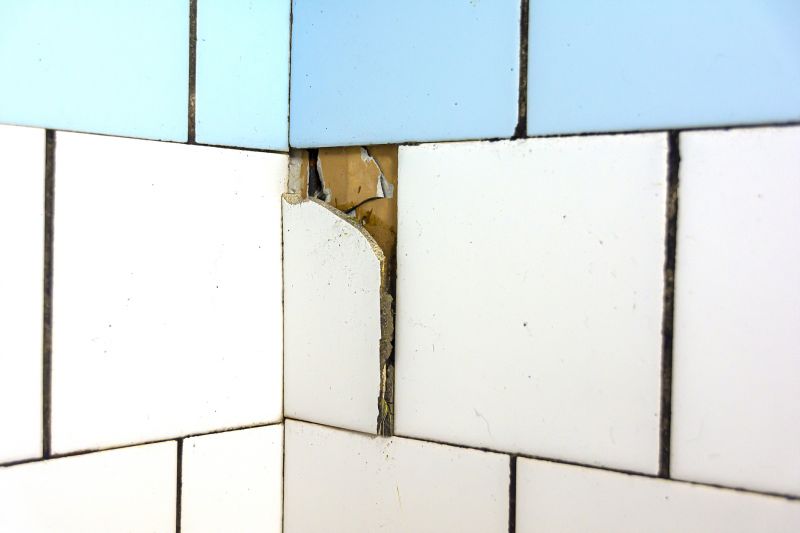 Custom Tile Repairs